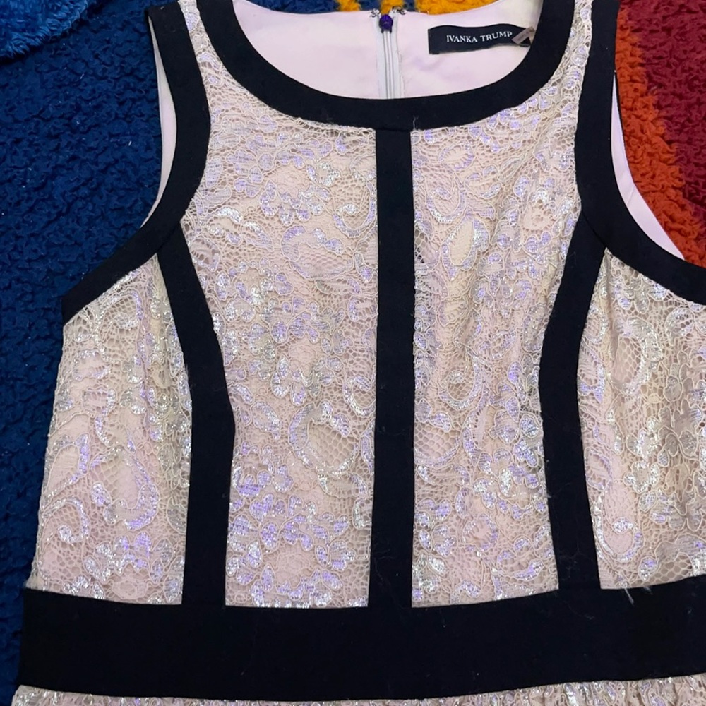 Rosy pink Dress with silver accents and black velvet outline.